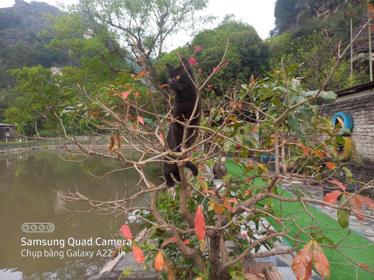 Trang An Pristine View Homestay Ninh Binh Exterior photo